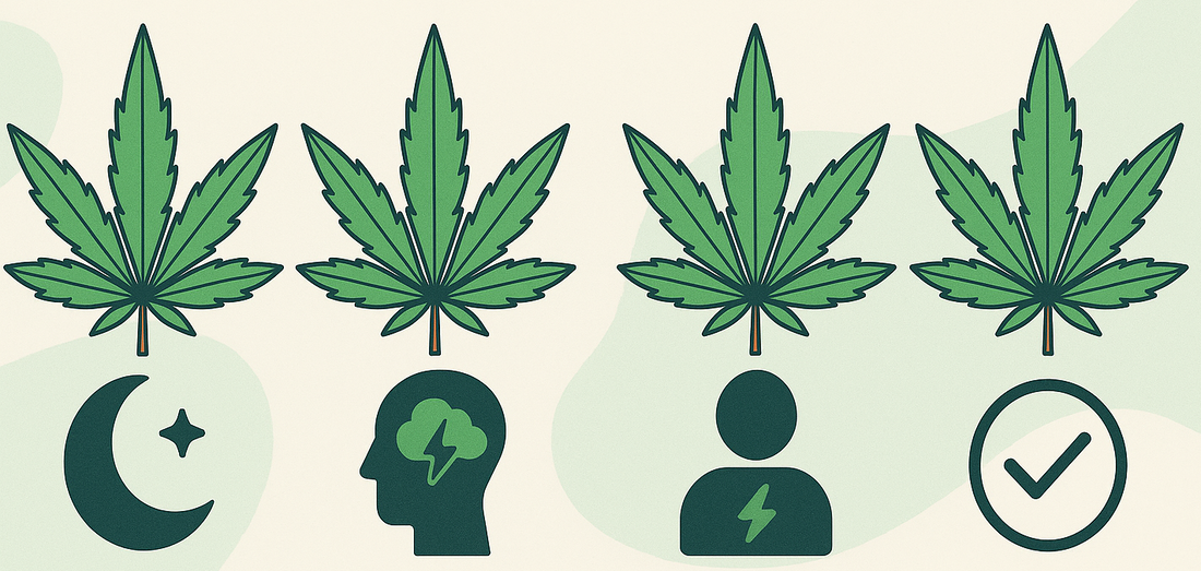Comment-choisir-sa-fleur-de-CBD-selon-ses-besoins Jpp-cbdstore