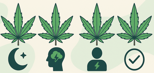 Comment-choisir-sa-fleur-de-CBD-selon-ses-besoins Jpp-cbdstore